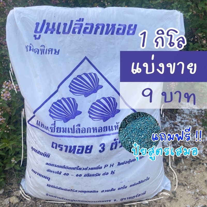 ถูกที่สุด ส่งทันที💥 ปูนเปลือกหอย 1 กิโล ปูนขาว ปรับสภาพดิน ฆ่าเชื้อราในดิน ไล่แมลง มด หอยทาก บรรจุ 0.9kg.