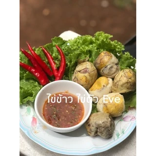 ไข่ข้าว/ไข่ตัว นึ่งสุก(ไข่ไก่)
