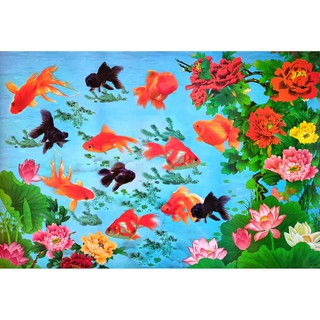 โปสเตอร์ รูปวาด ปลาทอง ปลามงคล ภาพมงคล เสริมฮวงจุ้ย Goldfish 鮒; フナ POSTER 24”x35” Inch