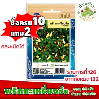 (ซื้อ10แถม2) เมล็ดพันธุ์ พริกกะเหรี่ยง สั้น Hot pepper Chilli ประมาณ 120เมล็ด เจียไต๋ เมล็ดพันธุ์พืช เมล็ดพันธุ์ผัก