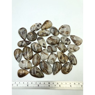 1Pc Natural Mushroom Jasper Cabochon for making Jewelry Pendant wire wrapping healing reiki.