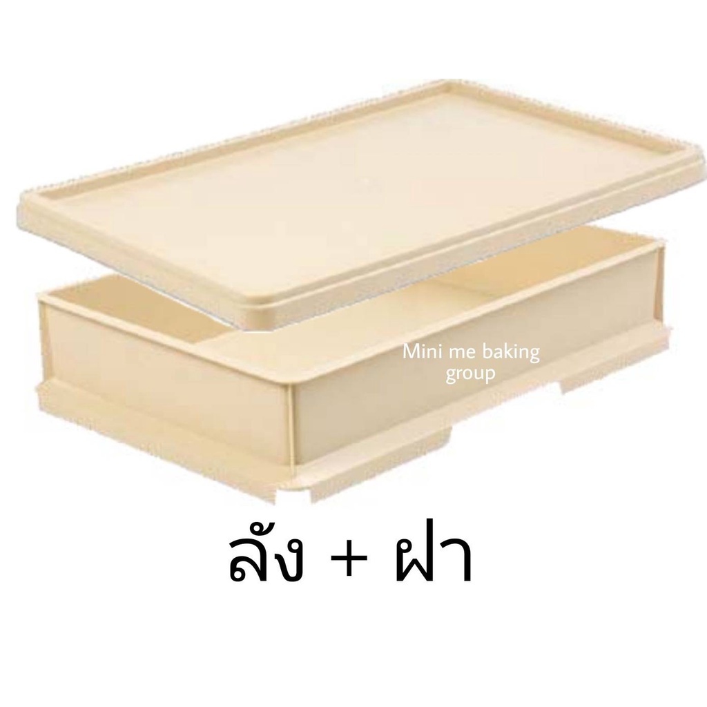 ลังเบเกอรี่พร้อมฝาปิด งซ้อนกันได้ ลังเบเกอรี่ ลังขนมปัง ลังขนมเค้ก No.598SN