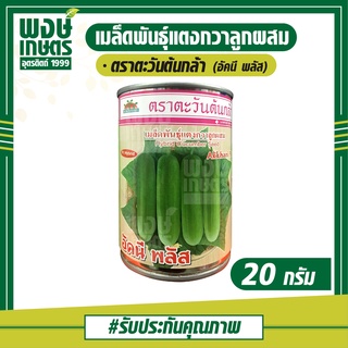 เมล็ดพันธุ์แตงกวาลูกผสม (อัคนี พลัส) 20 กรัม ตราตะวันต้นกล้า เมล็ดพันธุ์ผัก เมล็ดพันธุ์พืช ผักสวนครัว ต้นไม้