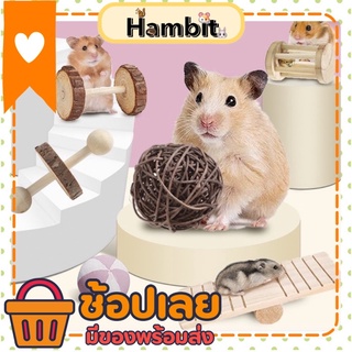 Hambit. ของเล่นไม้หนูแฮมสเตอร์ ของเล่นไม้ ของเล่นกระรอก ของเล่นเม่นแคระ ของเล่นกระต่าย ของเล่นชินชิล่า ของเล่นชูการ์