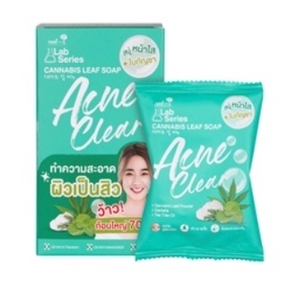 (ยกกล่อง) Nami Lab Series Leaf Soap Acne Clear 70g นามิ แป ซีรี่ส์ ลีฟ โซป แอคเน่ เคลียร์ สบู่หน้าใส