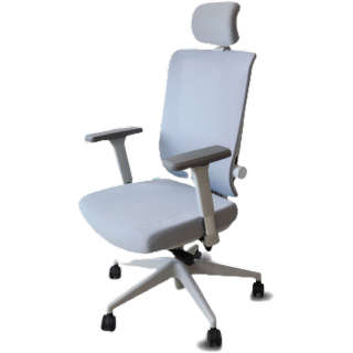Bewell Ergonomic Chair รุ่น Esteem เก้าอี้ทำงาน เก้าอี้เพื่อสุขภาพ ตอบโจทย์คนรูปร่างใหญ่ ปรับแรงต้านพนักพิงหลังได้ มี Lumbar support ที่วางแขนปรับได้ 4D รับน้ำหนัก 136 kg.