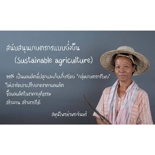 ข้าวเย็นใต้แห้ง "คัดมือ ด้วยความใส่ใจ" สมุนไพร หัวข้าว ข้าวเย็นโคกขาว ข้าวเย็นใต้ ข้าวเย็น