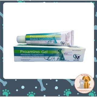 Proamino gel เจลวิตามิน กรดอะมิโน สำหรับสัตว์เลี้ยง สุนัข แมว 80 กรัม