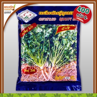 เมล็ดพันธุ์ผักชี ผักชีสามเอ 3A พันธุ์กอใหญ่ (400 กรัม) เมล็ดผักชีถุงใหญ่ เมล็ดผักชีปลาทอง เมล็ดพันธุ์ผักสวนครัว ตราสามเอ