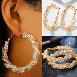 All-match Elegant Geometric Round Punk Zircon Cubic Hoop Earring