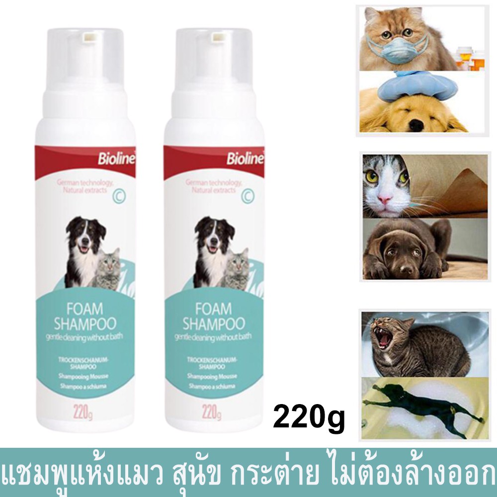 แชมพูแห้งแมว แชมพูแห้ง สุนัข และสัตว์เลี้ยง ไม่ต้องล้างออก 220กรัม (2ขวด) Bioline Dry Shampoo Dog Ca