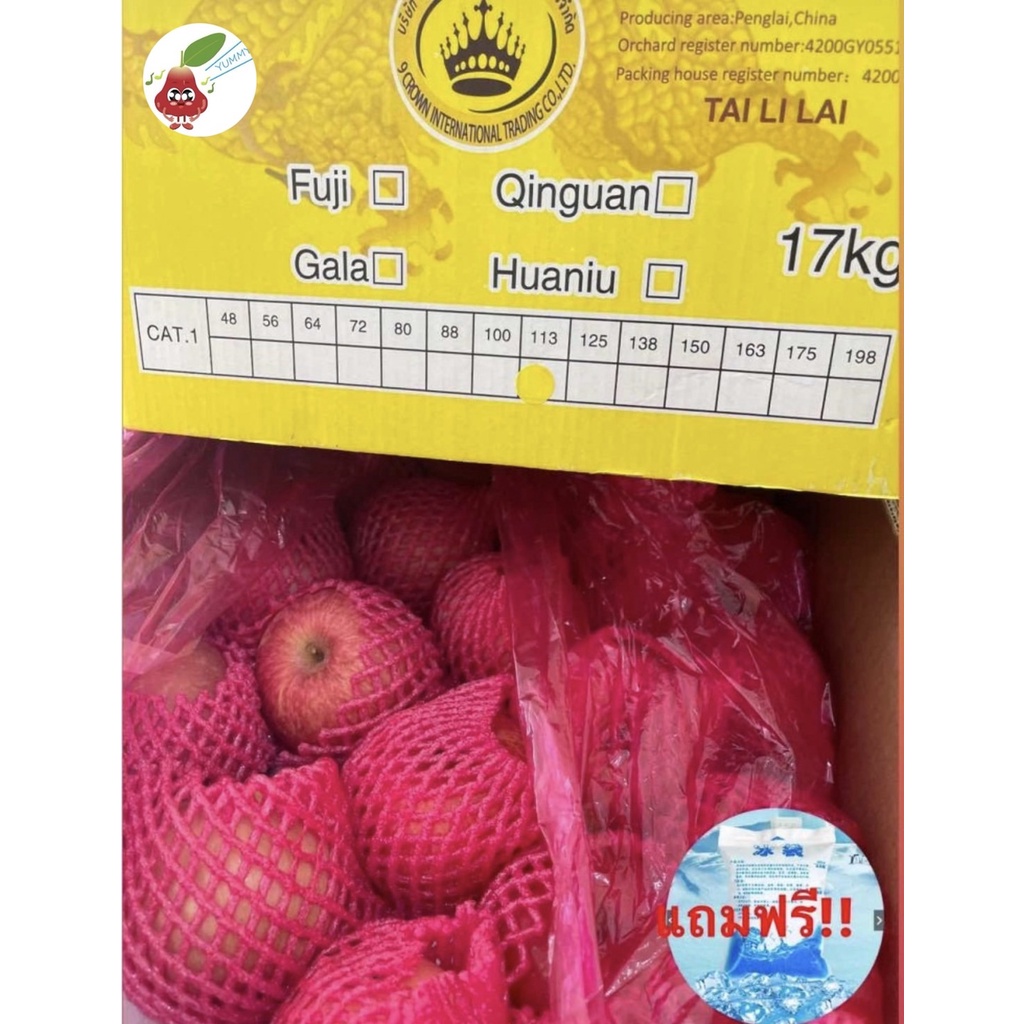 แอปเปิ้ลฟูจิ (ยกลัง) APPLE FUJI (CHN) ลดพิเศษ ผลไม้สด แอปเปิ้ลสด ผลไม้ต่างประเทศ ผลไม้พรีเมี่ยม ขายส