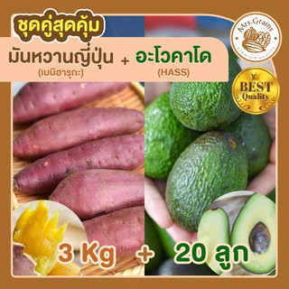 มันหวาน 3kg. มันหวานญี่ปุ่น + อะโวคาโด 20 ลูก มันหวานญี่ปุ่นนำเข้า มันญี่ปุ่น เบนิฮารุกะ อะโวคาโดสด อะโวคาโด้