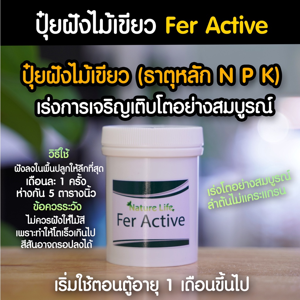 ปุ๋ยฝังไม้เขียว Fer Active จากแบรนด์ Nature Life | Marangmod