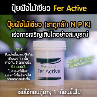 ปุ๋ยฝังไม้เขียว Fer Active จากแบรนด์ Nature Life