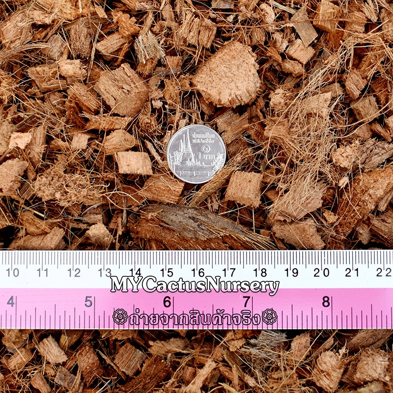 กาบมะพร้าว กาบมะพร้าวสับจากธรรมชาติ 100%  แบ่งบรรจุ 3 ขนาด 1 ลิตร / 3 ลิตร / 5 ลิตร สำหรับปลูกต้นไม้ วัสดุยัดไส้เสาไม้ใบ - รูปที่ 2