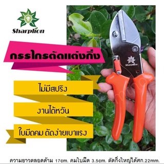 กรรไกรแต่งกิ่ง กรรไกรตัดกิ่ง กรรไกรตัดแต่งกิ่งไม่มีสปริง งานไต้หวัน PRUNING SHEARS NO SPRING