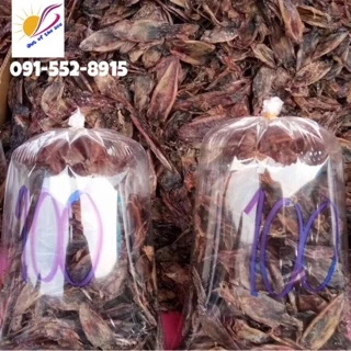 ปลาหมึกแห้ง มีตา ตัวดำ 🦑🦑🦑 ทอดง่าย ไม่เค็มขายดี แพ็คสูญญากาศ 500 กรัม