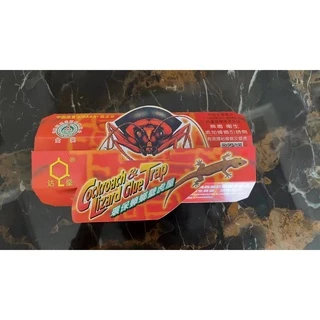 บ้านจิ้งจก ดักจิ้งจก ดักแแมลงสาบ Dahao