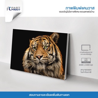 ภาพพิมพ์แคนวาสพรีเมี่ยม รูปสัตว์ เสือ รูปตกแต่งบ้าน ความละเอียดสูง 2400x2400dpi