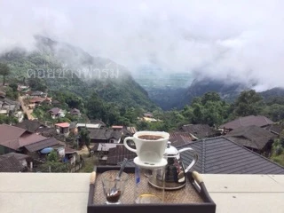 กาแฟคั่วดอยช้าง อ่อน กลาง เข้ม /Light Roast /Medium Roast/Dark Roast (3ถุง)