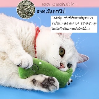 FurryCuddle พร้อมส่ง ตุ๊กตาแคทนิป Catnip ของเล่นแมว มีกรุ๊งกริ๊ง ของเล่นยัดไส้ ของเล่นหญ้าแมว ตุ๊กตาหญ้าแมว MIP86