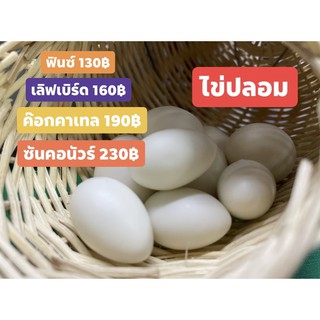 ไข่ปลอมนกคอกเทล5ใบ190บาท🐣🐣