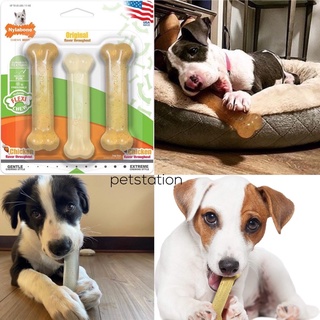 Nylabone Flexi Chew ของเล่นขัดฟันสัตว์เลี้ยง