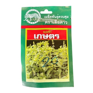 🔥เมล็ดพันธุ์ แมงลักเกษตร (5 กรัม) ตราเสือดาว