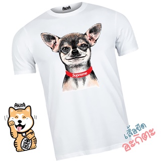 เสื้อยืดลายชิวาว่ายิ้ม Smile chihuahua T-shirt