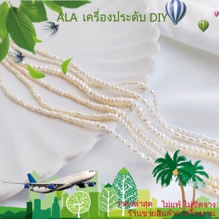 ❤️เครื่องประดับ DIY❤️ลูกปัดไข่มุกน้ําจืดธรรมชาติ ขนาดเล็ก 2-3 มม. สําหรับทําเครื่องประดับ ต่างหู แฮนด์เมด DIY