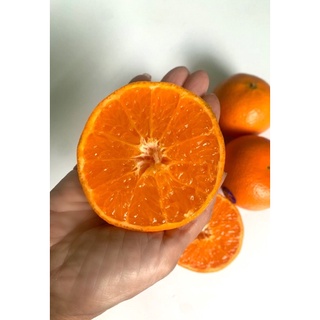 🍊หวานอมเปรี้ยว🍊 ส้มออสเตรเลีย อร่อยต้องลอง !!!