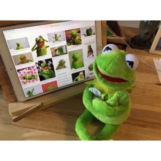 ตุ๊กตากบ kermit the frogตุ๊กตากบ