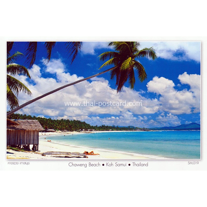 SM019 Postcard โปสการ์ด หาดเฉวง เกาะสมุย จ.สุราษฏร์ธานี