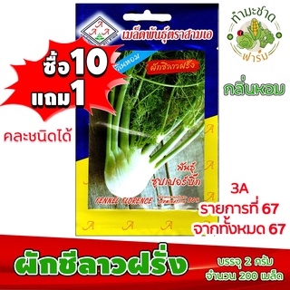 (ซื้อ10แถม1) เมล็ดพันธุ์ ผักชีลาวฝรั่ง Fennel ประมาณ 200เมล็ด 3A สามเอ ผักสวนครัว เมล็ดพันธุ์พืช เมล็ดผัก เม็ดผัก พืชผัก