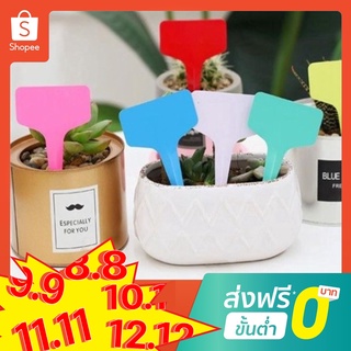 แพ็ค 10 ชิ้น ป้ายชื่อต้นไม้ตัวที ป้ายชื่อพลาสติก PE แบบแข็ง ป้ายต้นไม้ ป้ายแคคตัส