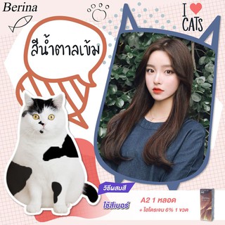 Berina เบอริน่า สีย้อมผม A2 สีน้ำตาลเข้ม สีแบบธรรมชาติ ใบหน้าดูอ่อนหวานและสว่าง [B1101]