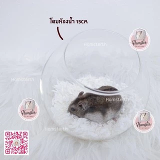 [Hamsterth] โดมใส ห้องน้ำ ห้องนำ้แก้ว สำหรับสัตว์เลี้ยง แฮมสเตอร์ แฟตเทล ดอเม้าท์