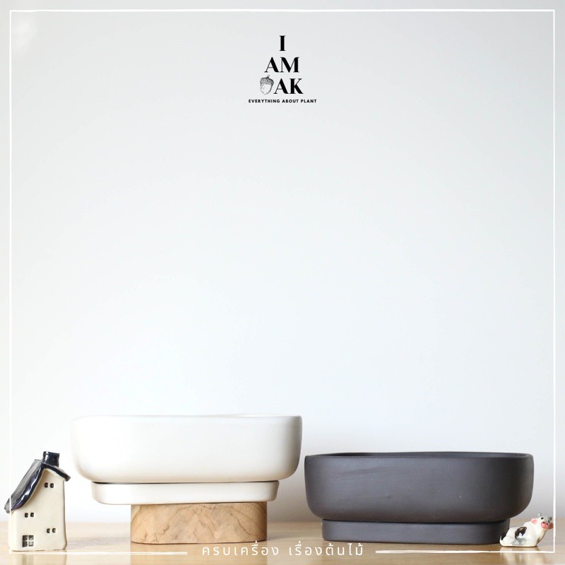 มุมมอง 4