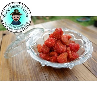 สตรอเบอร์รี่ สตอเบอร์รี่ สตอเบอรี่ สตรอว์เบอร์รี อบแห้ง เกรดAAA 500g(Strawberry)
