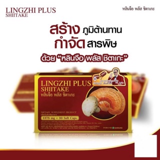 หลินจือ พลัส ชิตาเกะ (LINGZHI PLUS SHIITAKE) 30แคปซูล