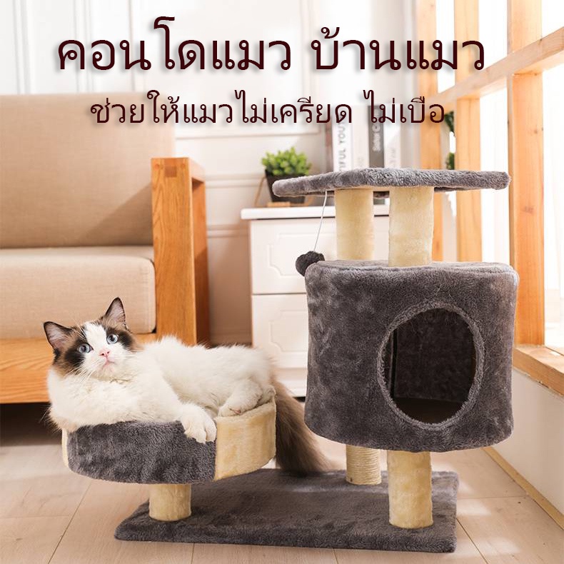 คอนโดแมว บ้านแมว ลับเล็บแมว บ้านต้นไม้