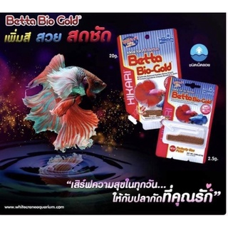 hikari Betta Bio-Gold อาหารปลากัด สูตรเร่งสีพิเศษ โปรตีนสูง38%