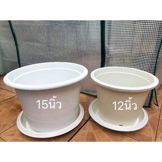 กระถางต้นไม้พลาสติกสีขาวขนาด12นิ้ว 15นิ้ว กระถางแคคตัส อุปกรณ์ตกแต่งสวน