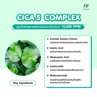 [ซื้อ1 แถม1] Faith in Face Cica5 สูตรลดสิว ปลอบประโลมผิว ขนาด 500 มล. Cica5 Truly Soothing Cleansing