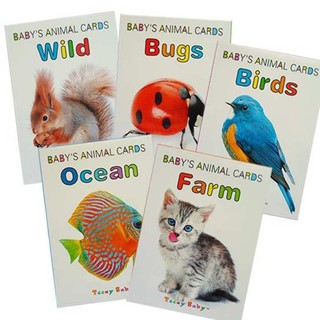 Baby’s Animal Cards Bugs/Ocean/Birds/Farm/Wild Teeny Baby