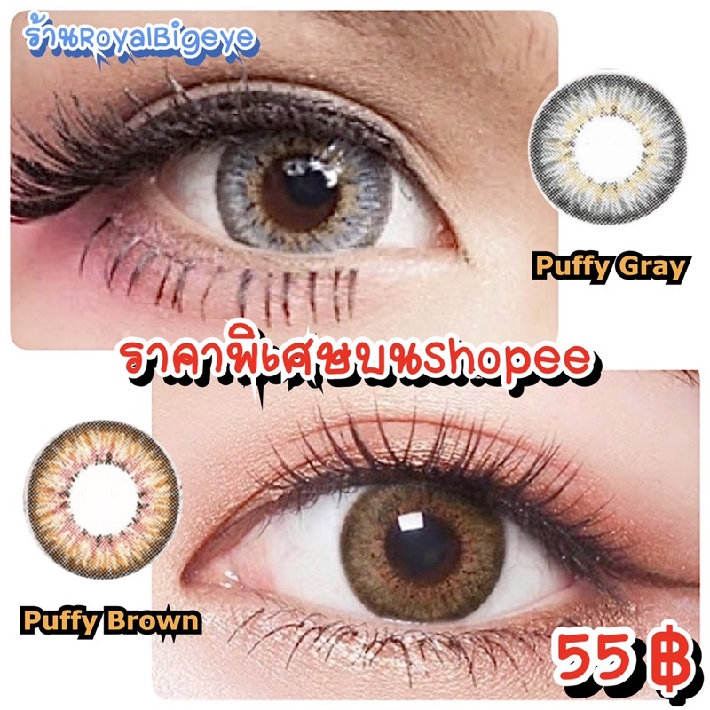 คอนแทคเลนส์ Puffy 3 tone Gray / Brown - Pitchy Lens / Pretty Doll ขนาดตาโต มีสายตาสั้นถึง -7.00