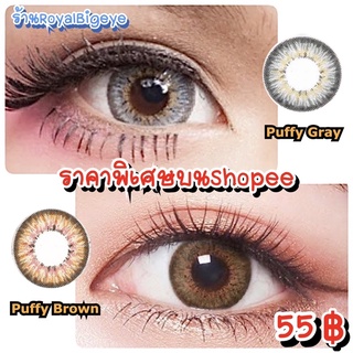 คอนแทคเลนส์ 🎊 Puffy 3 tone 🎊 Gray,Brown (Pretty Doll/ Sweety Plus)💝ขนาดบิ๊กอายตาโต สวยขายดีเซ็กซี่