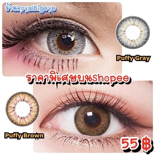 คอนแทคเลนส์ 🎊 Puffy 3 tone 🎊 Gray,Brown (Pretty Doll/ Sweety Plus)💝ขนาดบิ๊กอายตาโต สวยขายดีเซ็กซี่