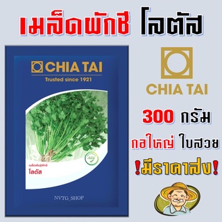 ผักชีโลตัส เจียไต๋ ตราเครื่องบิน ขนาด 300 กรัม ขายส่ง เมล็ดพันธ์ เมล็ดผักชี เมล็ดพันธุ์ผักชี